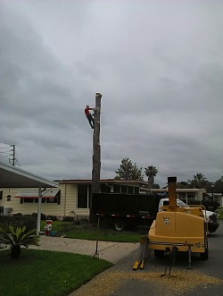 Expert climbers working in confined spaces