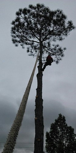 Using ropes and rigging techniques to ensure safety